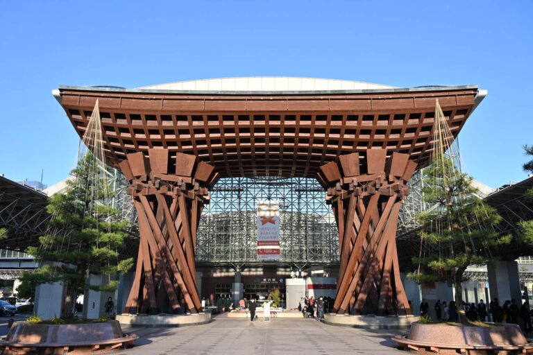 現地レポート（11月第4週）