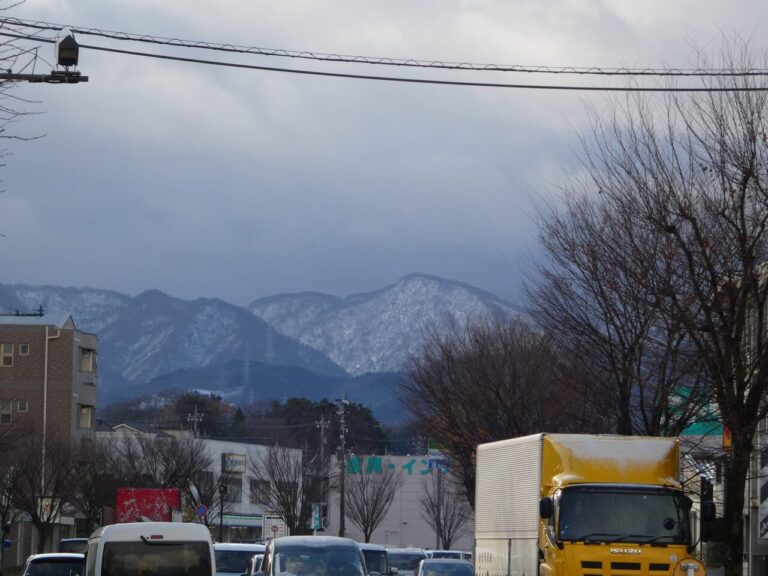現地レポート（12月第1-2週）